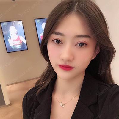 迪尔大陆破解版下载
